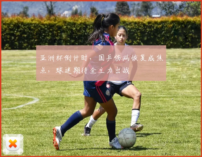 亚洲杯倒计时,国乒伤病恢复成焦点,球迷期待全主力出战 - 竞彩网推荐