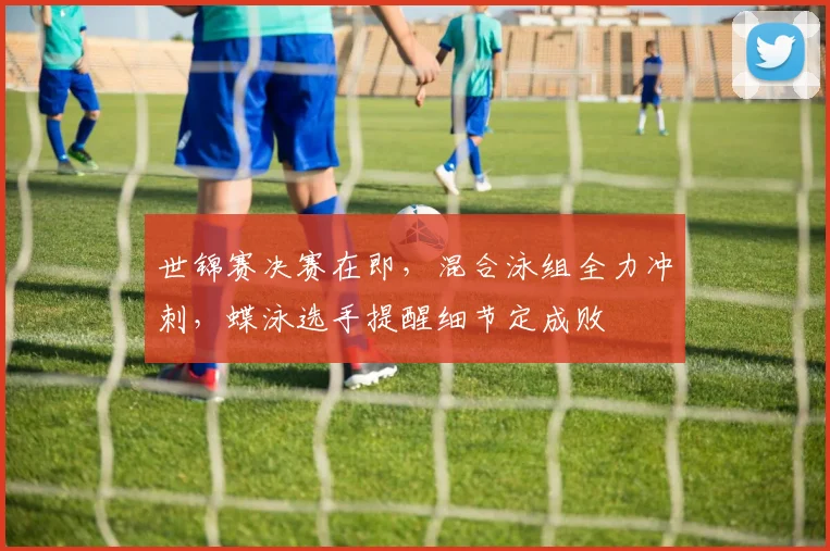 世锦赛决赛在即,混合泳组全力冲刺,蝶泳选手提醒细节定成败 - 竞彩网推荐