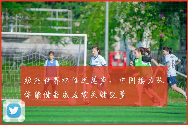 短池世界杯临近尾声,中国接力队体能储备成后续关键变量 - 竞彩网推荐
