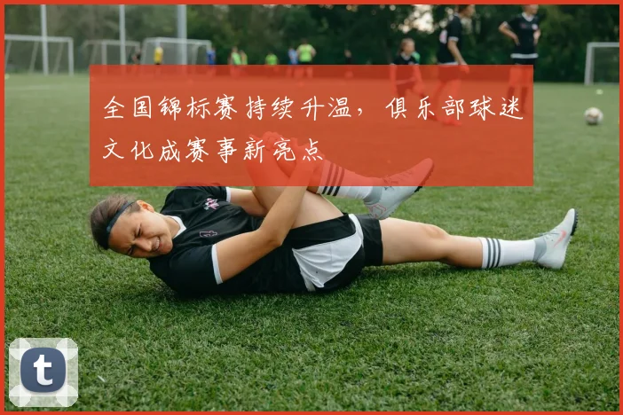 全国锦标赛持续升温,俱乐部球迷文化成赛事新亮点 - 竞彩网推荐