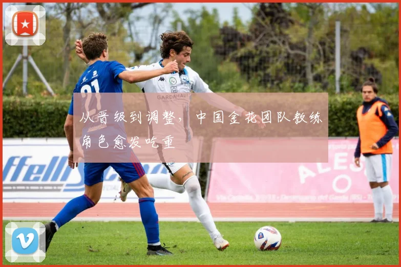 从晋级到调整,中国金花团队教练角色愈发吃重 - 竞彩网推荐